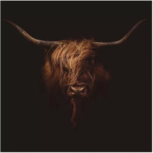 Payaa Bad Hairday 120x120x2cm (114113)