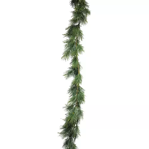 Pinus Slinger Liv Groen 160cm