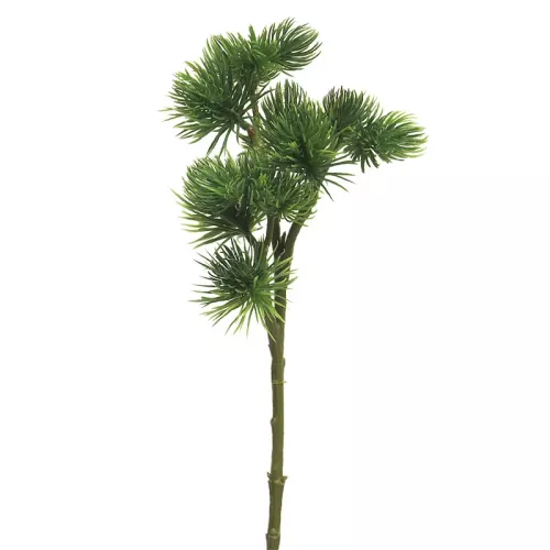 Pinus Spray Mugo Groen 58cm
