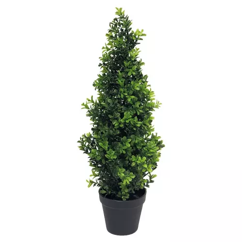 Buxus Orion taps toelopend groen 15x15x60cm