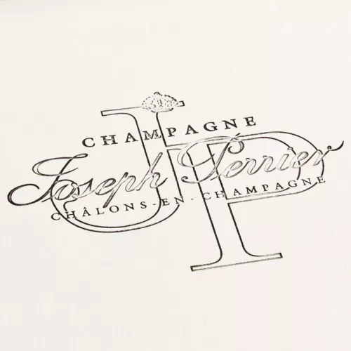 Payaa Dienblad 62x22x6cm Ovaal Met Handvat Zilver (107787)