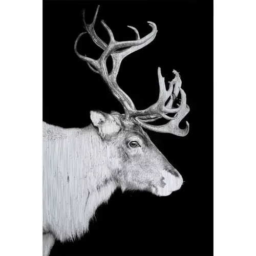 Rendier Alubrush 120x180x2cm