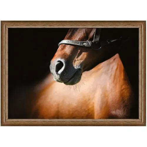 Bruin paard 3 80x60x3cm