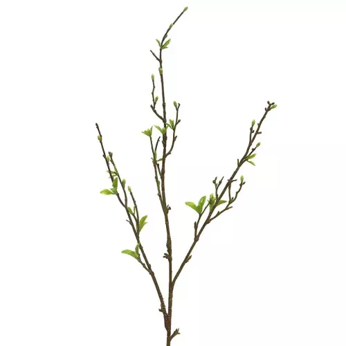 Sping Twig Groen 12x4x101cm