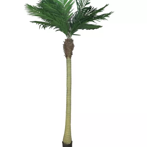 Areca Palm Maui W/Pot 240x70x30cm